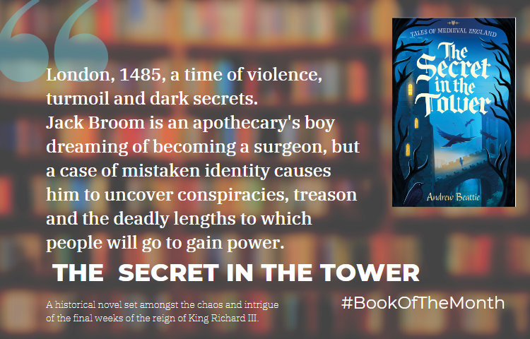 Image of Book of the month November 2022: The Secret in the Tower