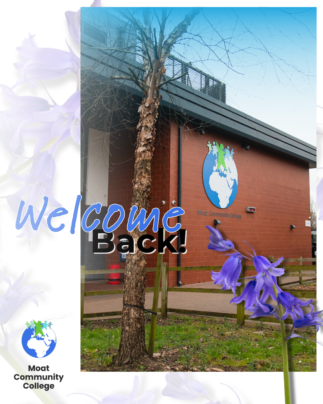 An image of Moat College set against a white background with bluebells faintly showing. The title of the post reads, ‘Welcome Back!’. There is an image of a bluebell in the foreground, and the Moat College logo appears in the bottom left corner.