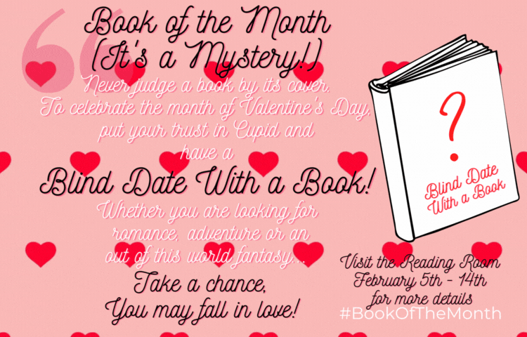 Image of Book of the Month: February 2024 - Blind date with a book