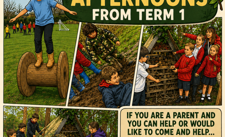 Image of Forest School 