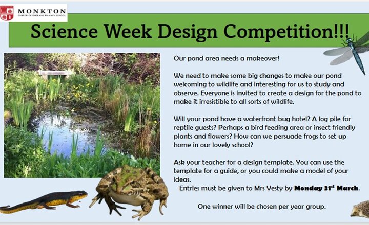 Image of Science Week Design Competition