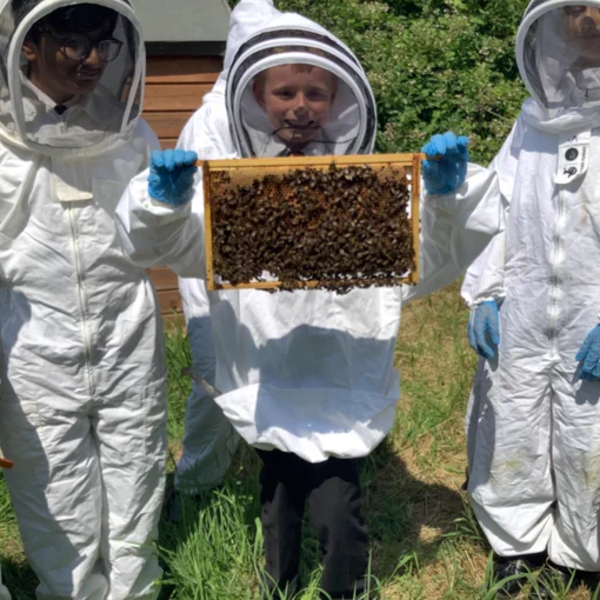 Image of Yesterday, the Science Team - Mr Goldstone, Mrs Bach & Dr Hutchinson, and some Y7 and Y8 students went to an apiary at the brilliant Layton Bee Project. 