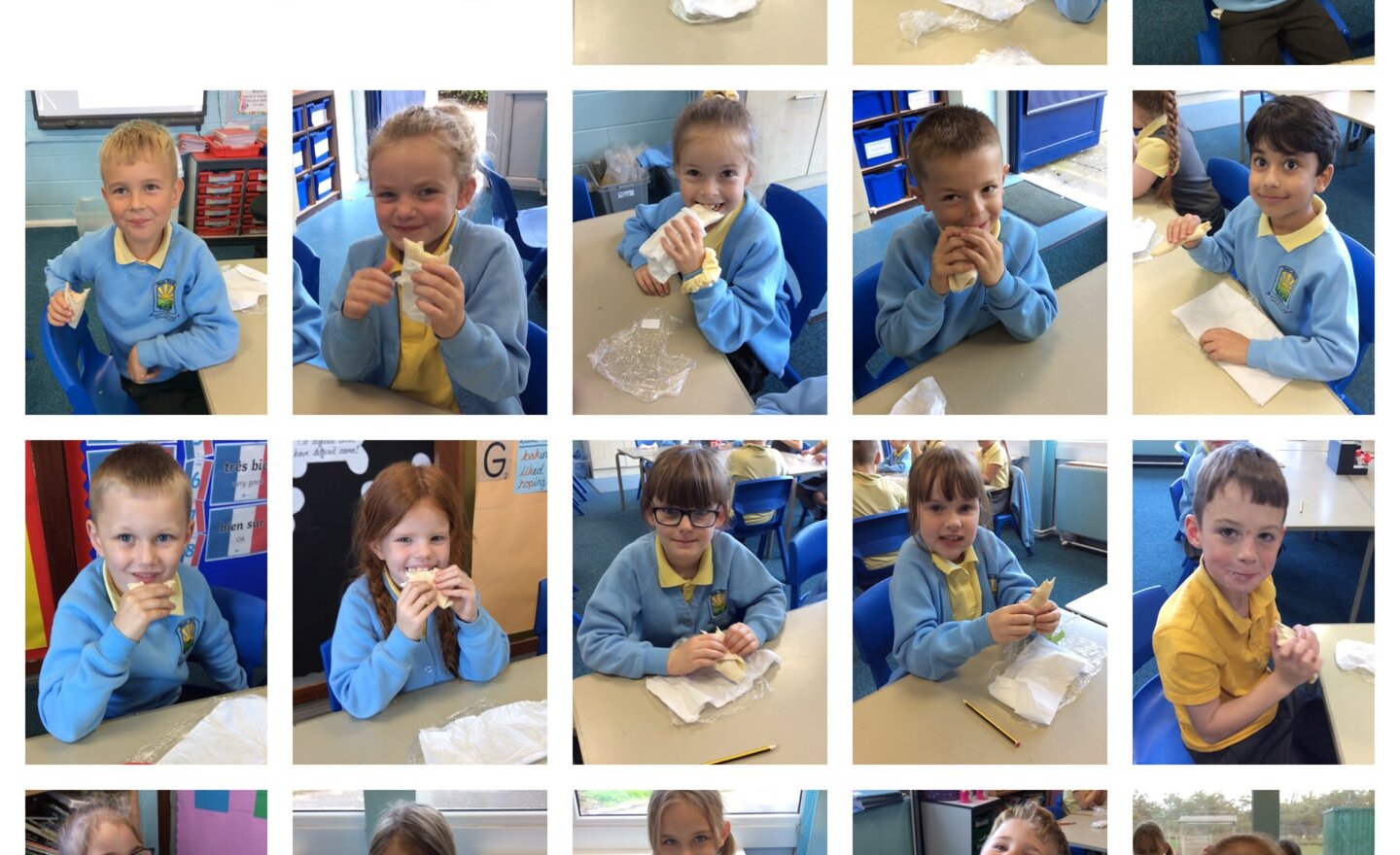 Image of DT project- Healthy wraps