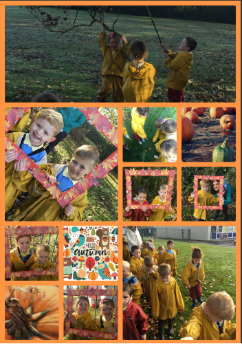 Image of Autumn is here! 