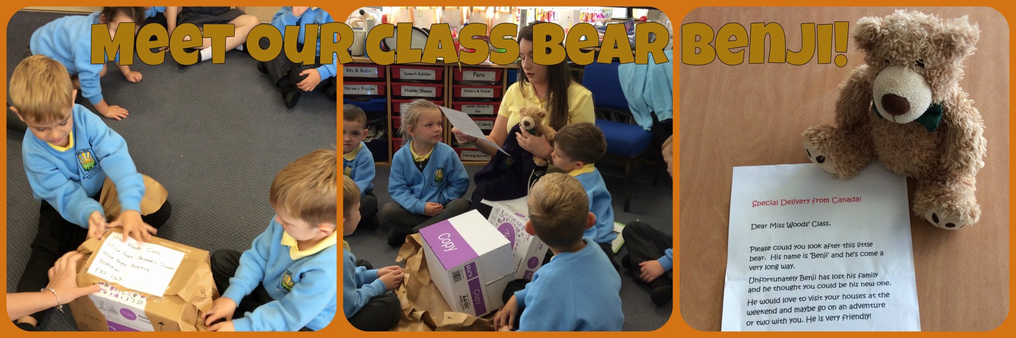 Image of Meet our Class Bears... 