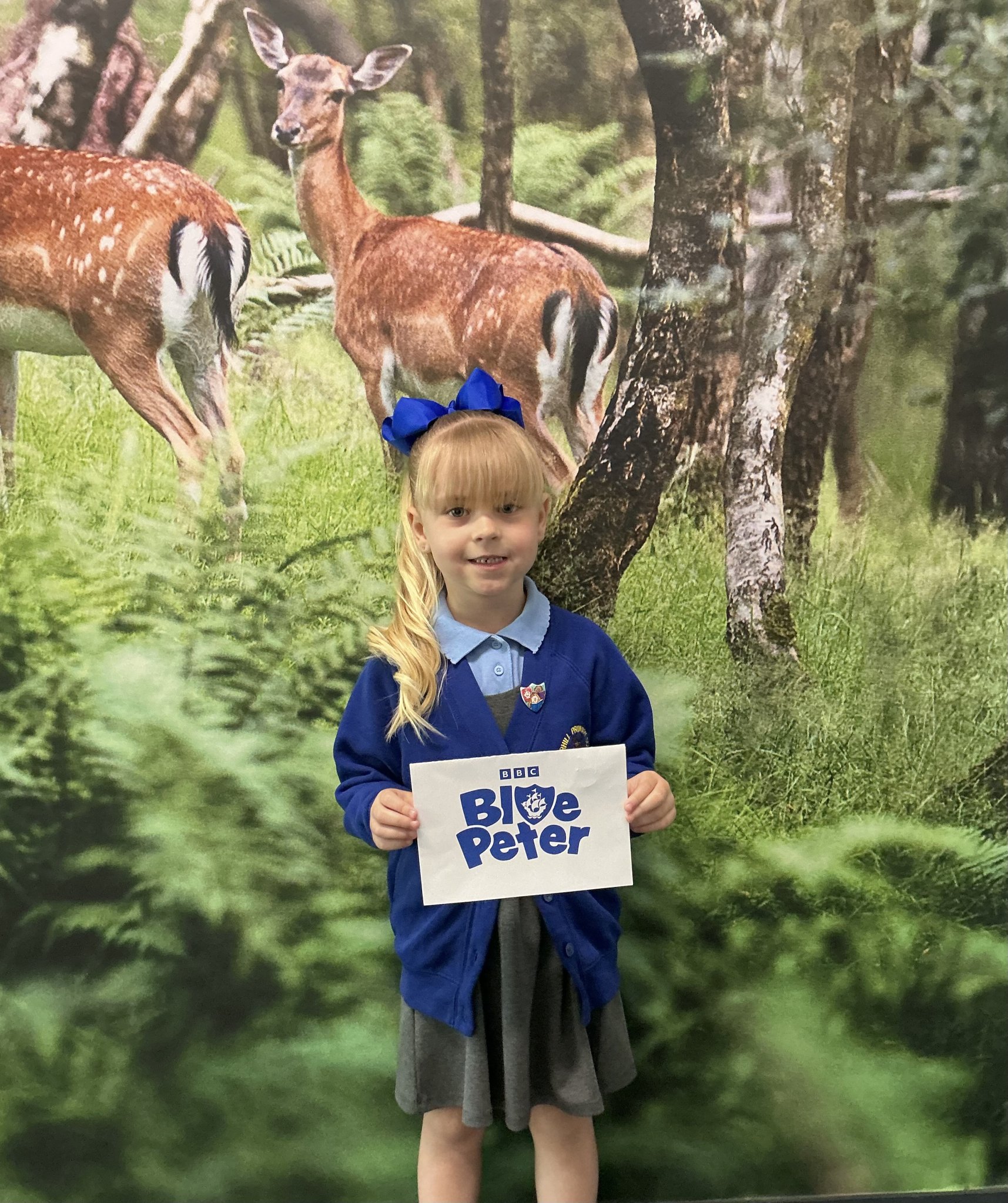 Image of Brilliant Blue Peter Badge!