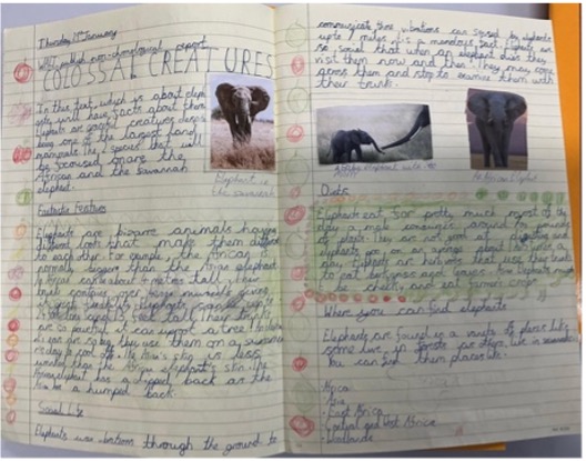 Image of Spring in Year 6