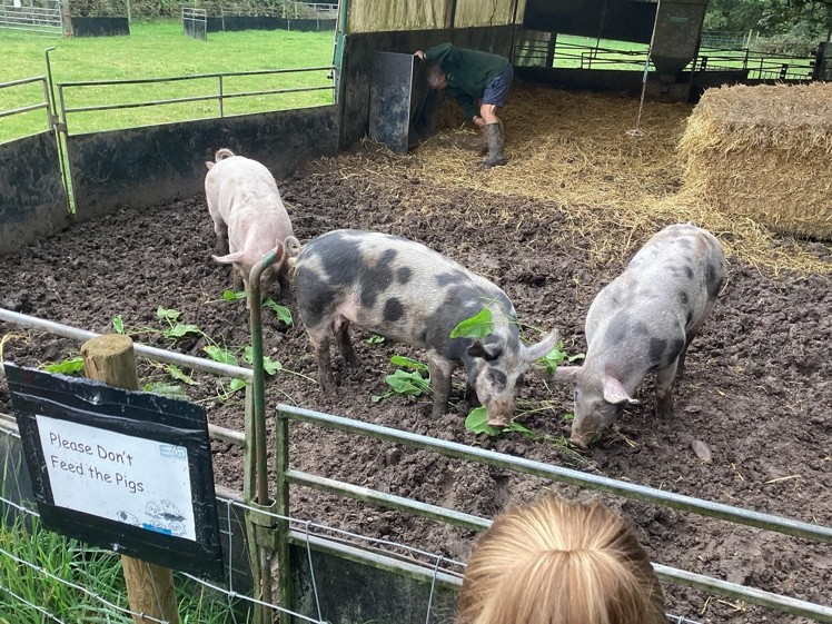 Image of Packington Farm