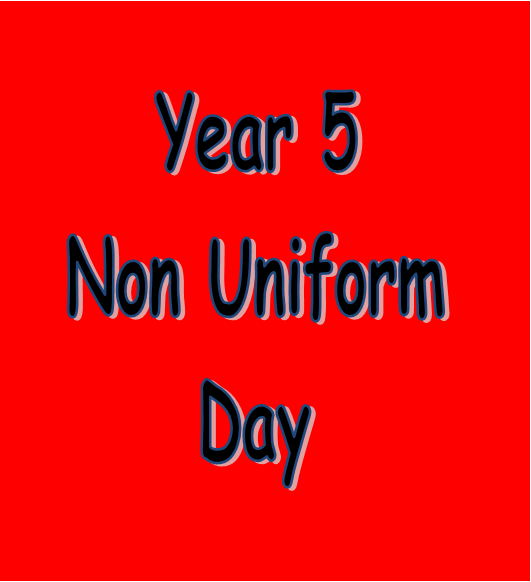 Image of Year 5 Non Uniform Day