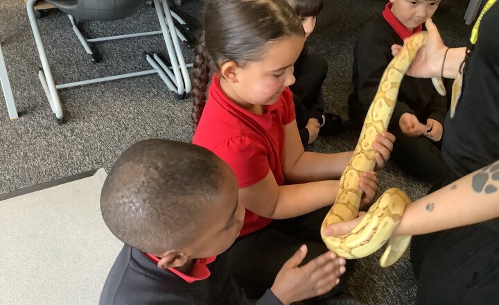 Image of R1BP Class Update - Autumn Term 2 