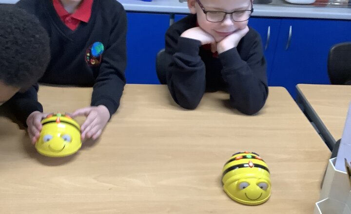 Image of 2PS Term 3 Update 