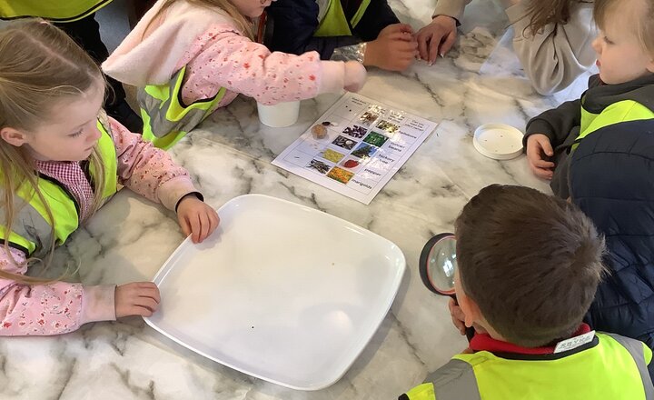 Image of R1MS Term 5 Week 2 Update