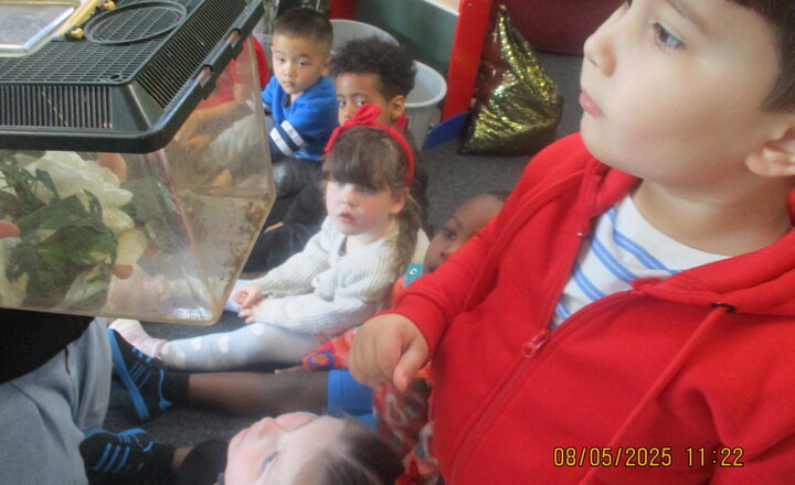 Image of Nursery - Term 5 Week 3