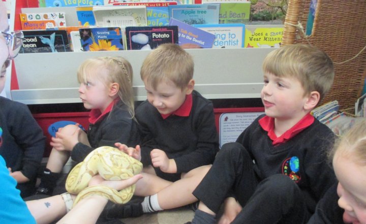 Image of Term 5 Nursery Update