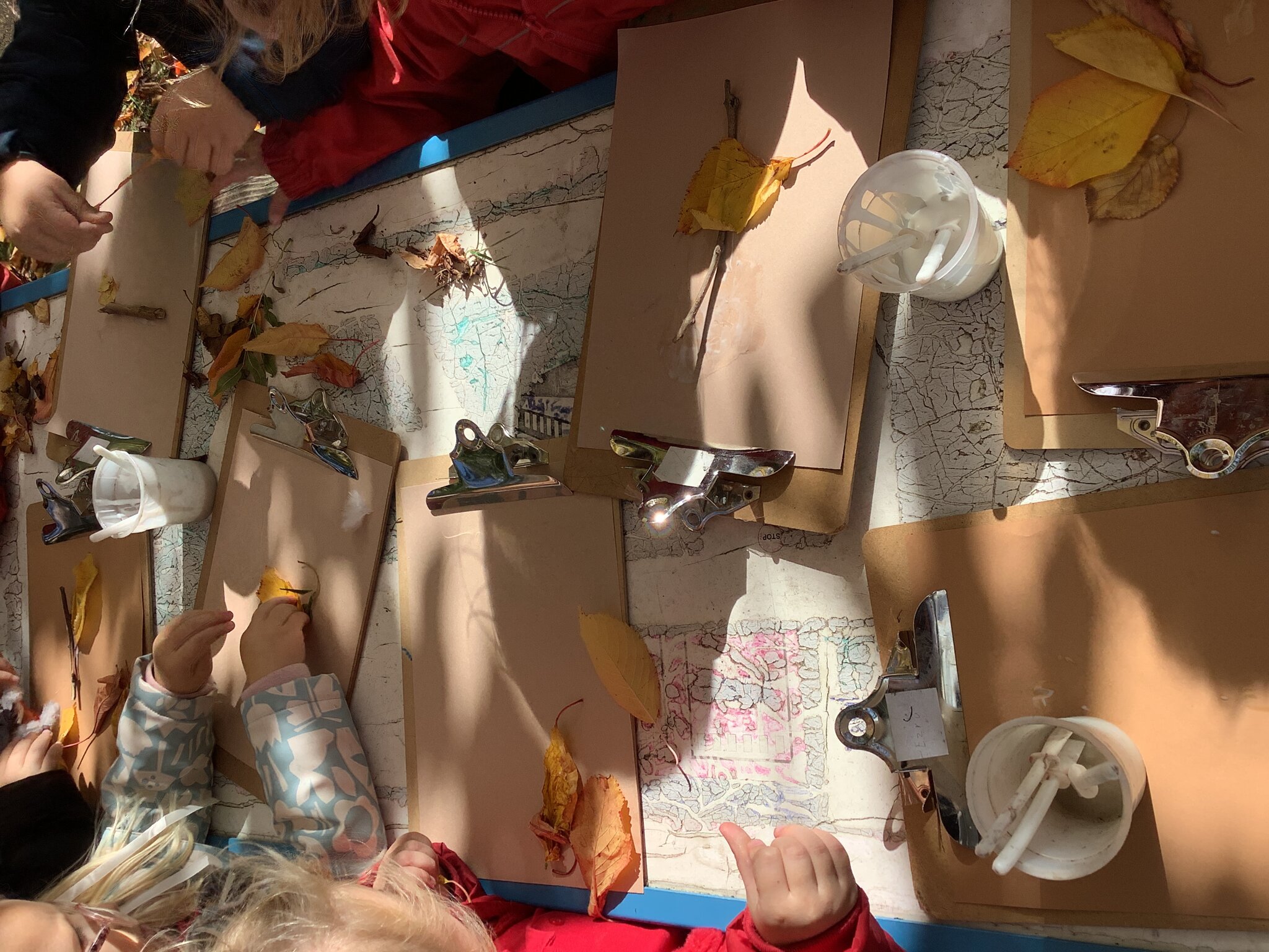 Image of R1CB Class Update - Autumn Term 1