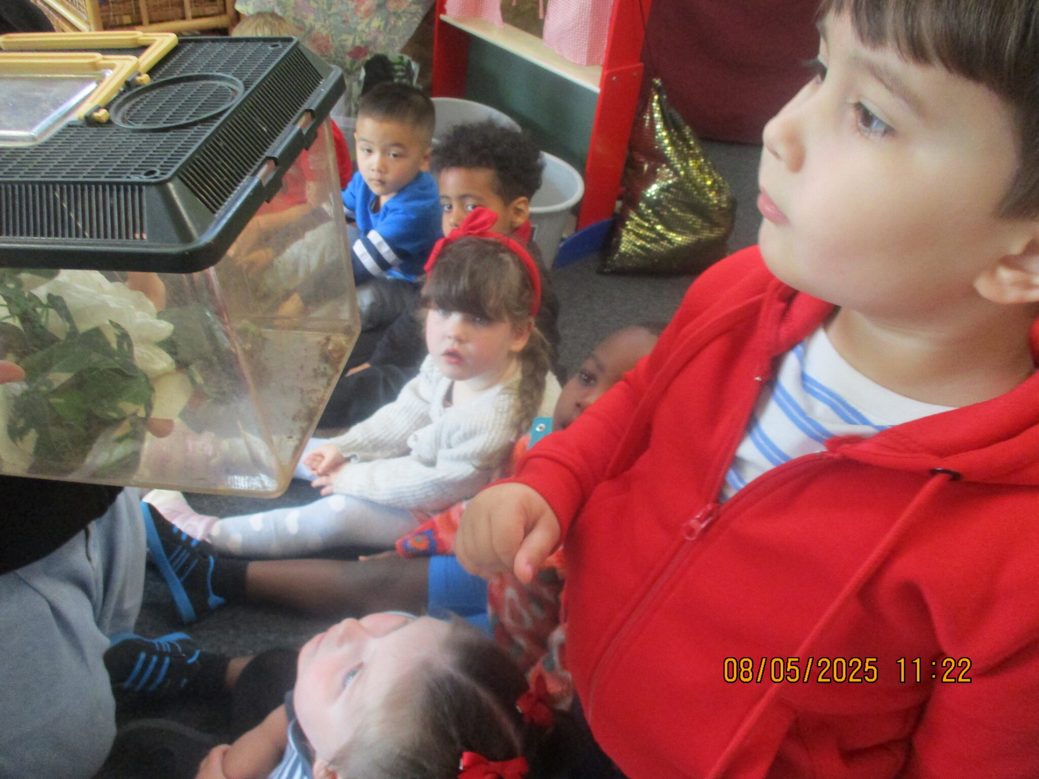 Image of Nursery - Term 5 Week 3