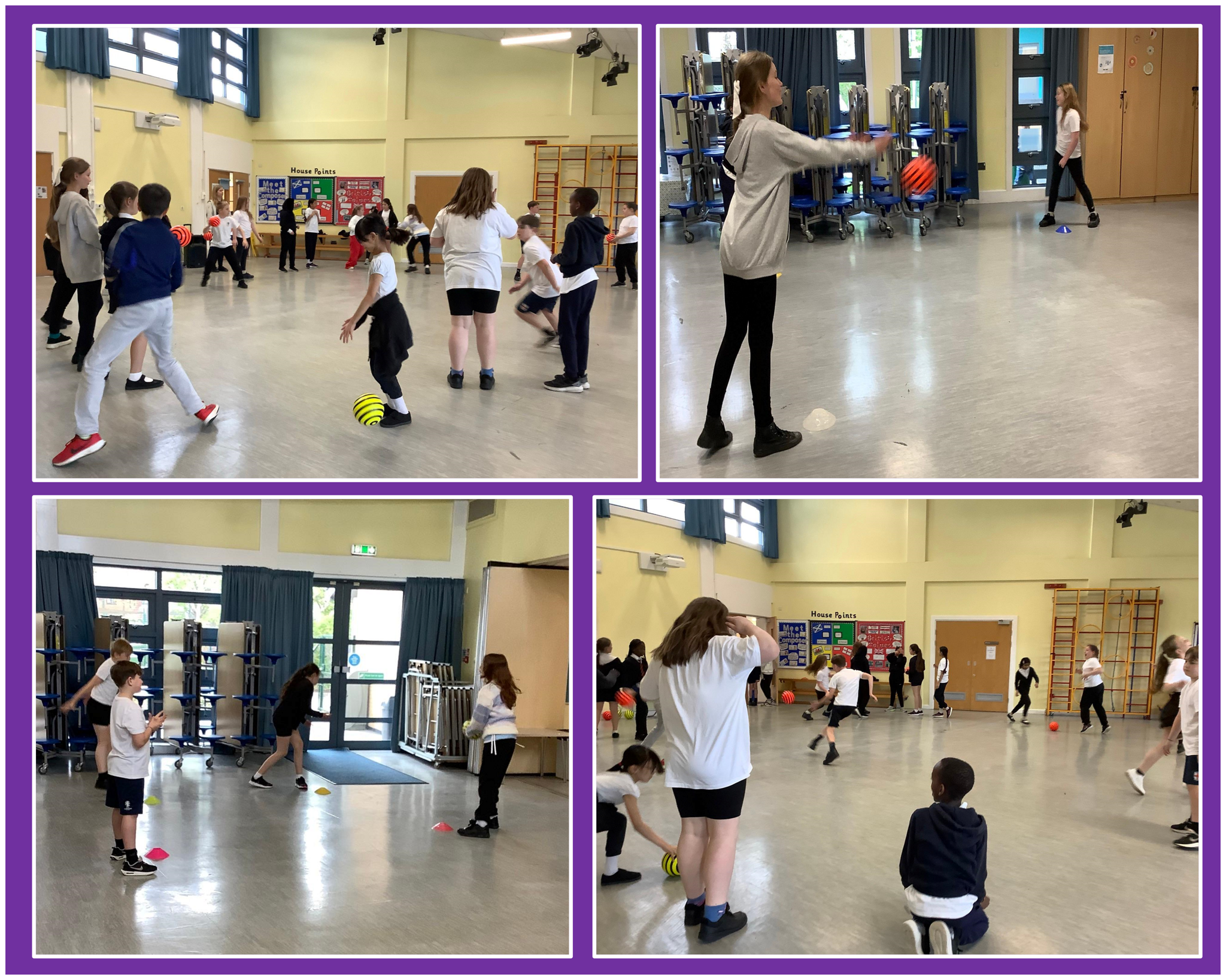 Image of 5SW Term 5 Week 1
