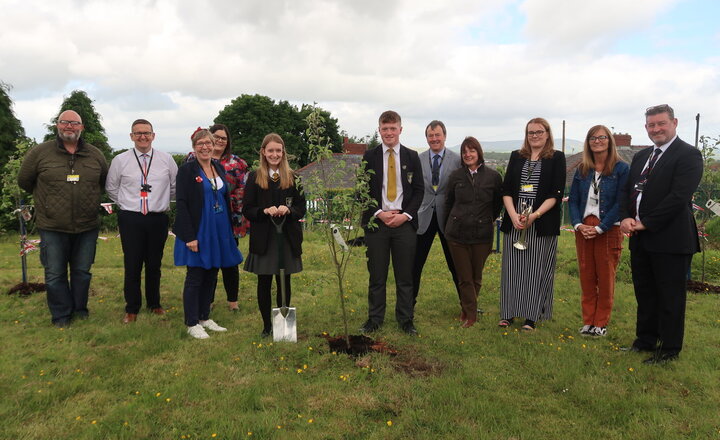 Image of Plant a Tree for the Jubilee