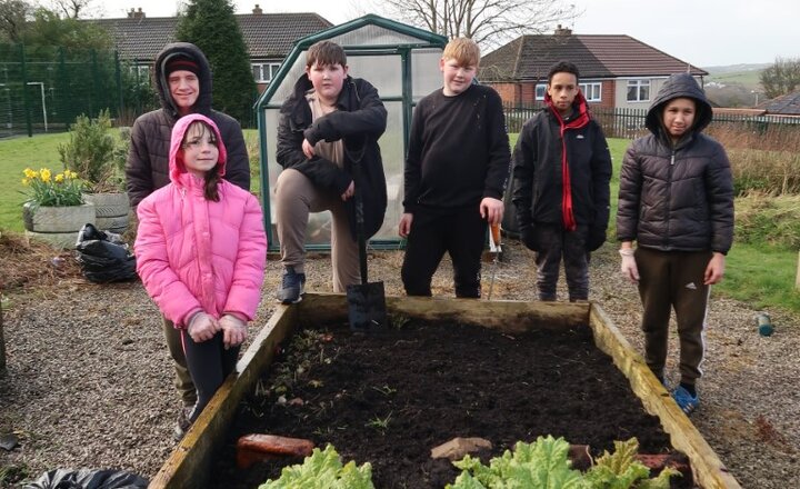 Image of School Allotment