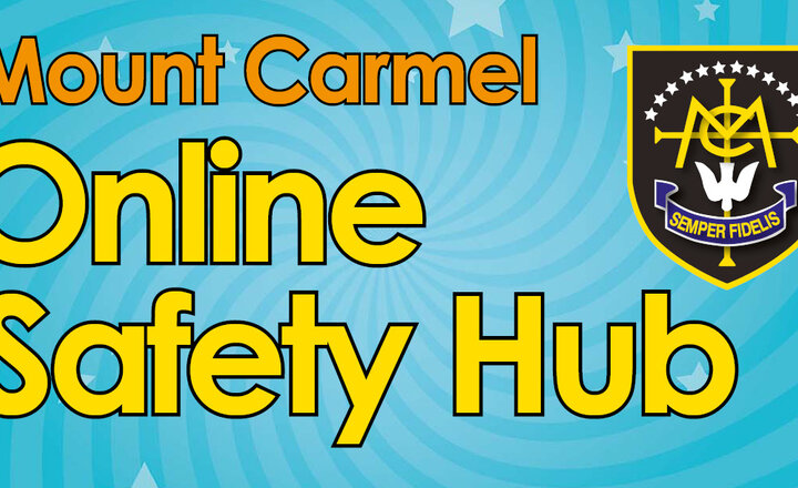 Image of Online Safety Hub