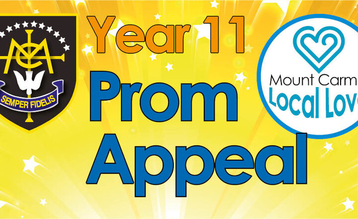 Image of Year 11 Prom Appeal