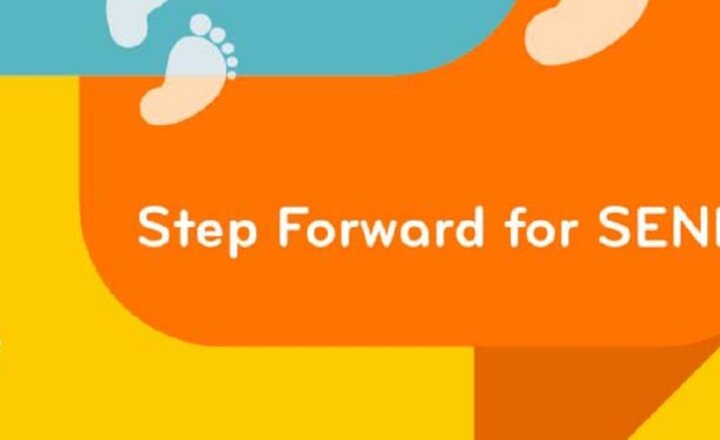 Image of Step Forward for SEND - April 2020