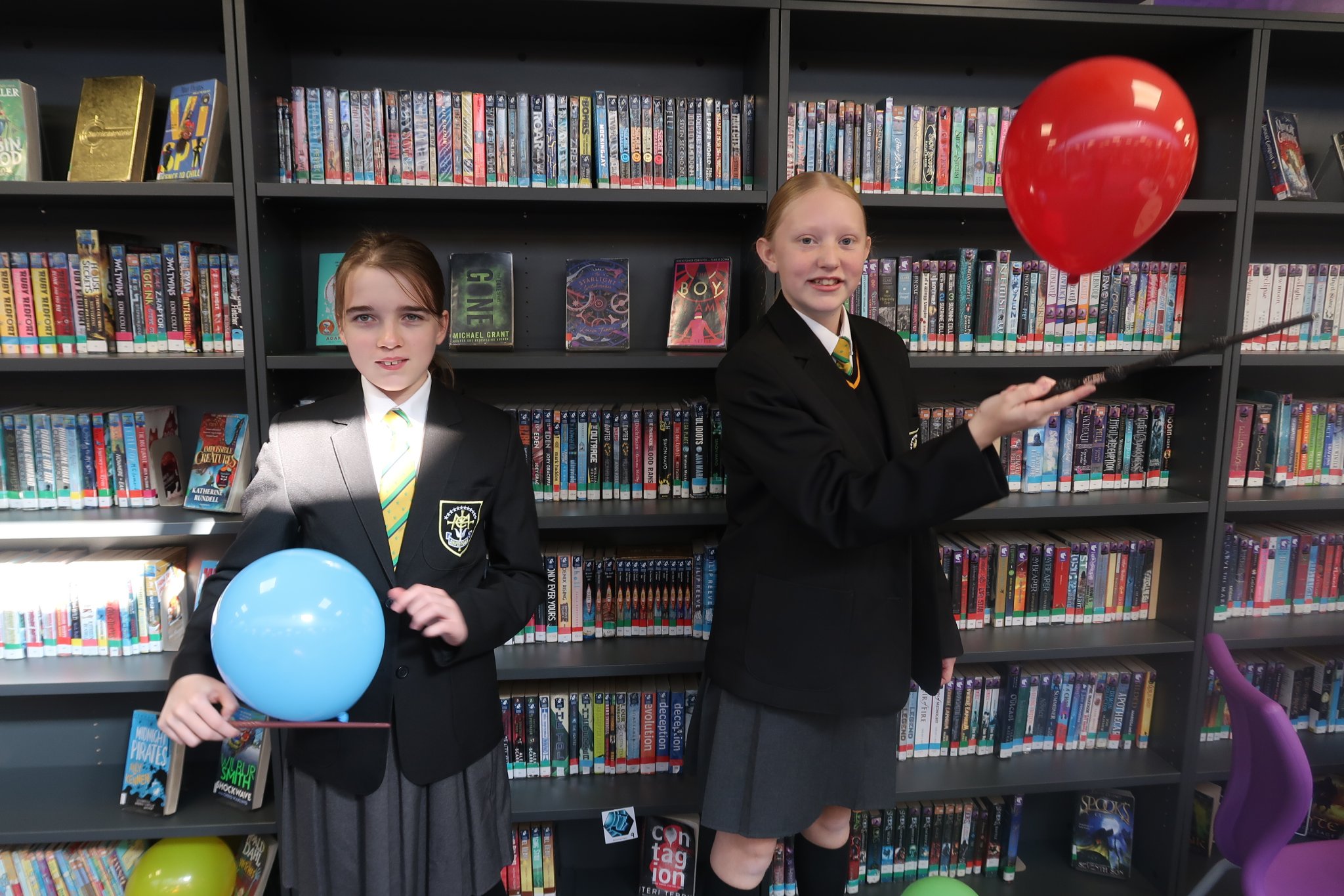 Image of Harry Potter Day 2026