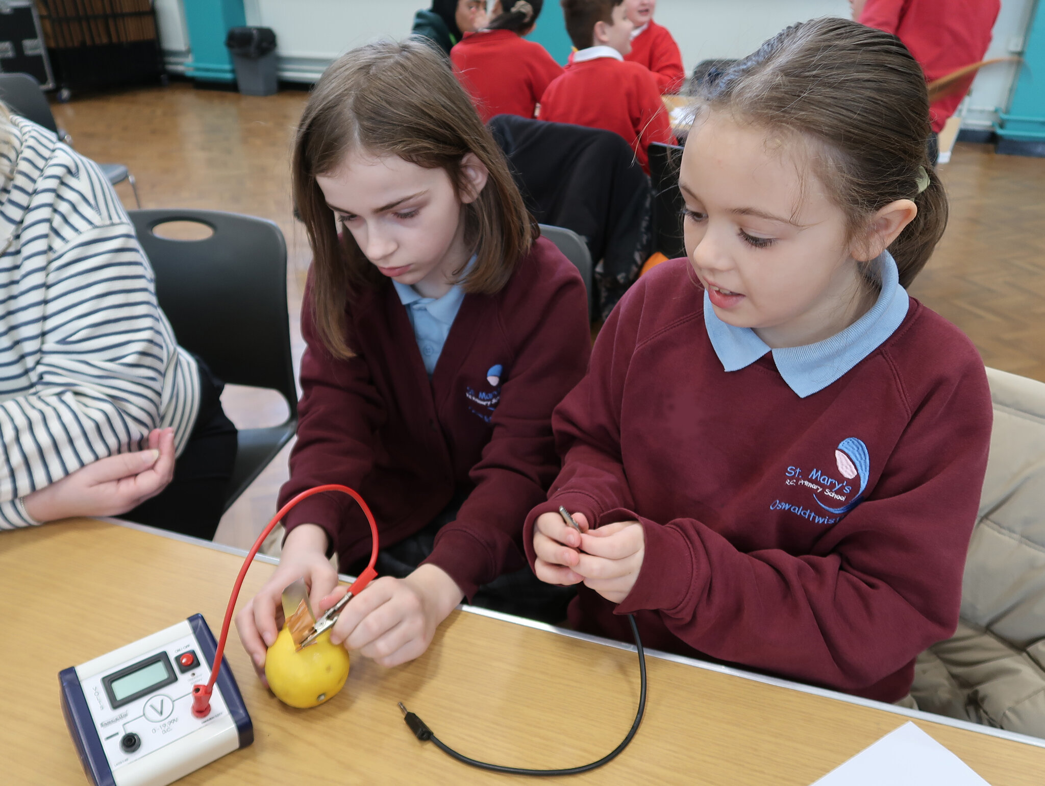 Image of ECO Champions Day 2026