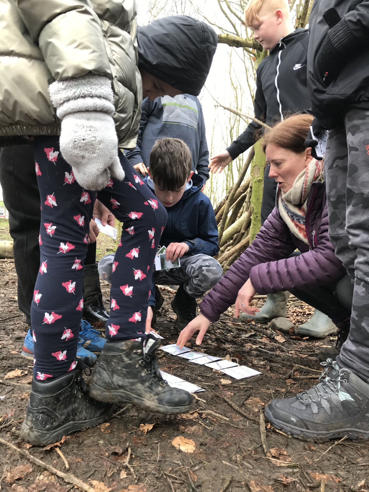 Image of Forest Schools