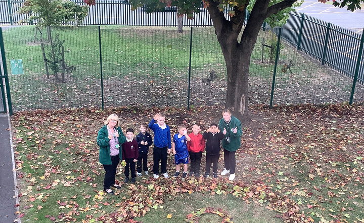 Image of Term 1 week 5 Rainbow class