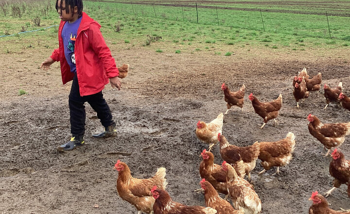 Image of Westbury Class - Year 5 Residential at Abbey Farm