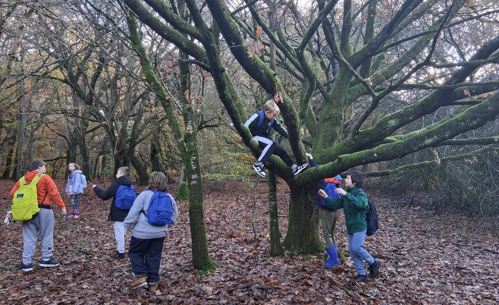 Image of Stonehenge Class Update 