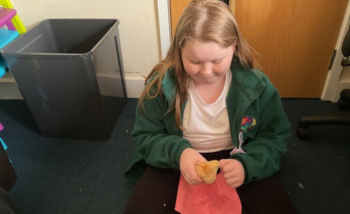 Image of Avebury Update