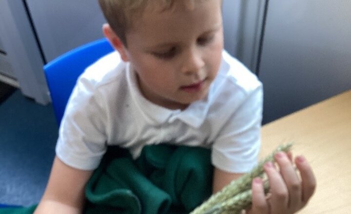 Image of Savernake Class Update