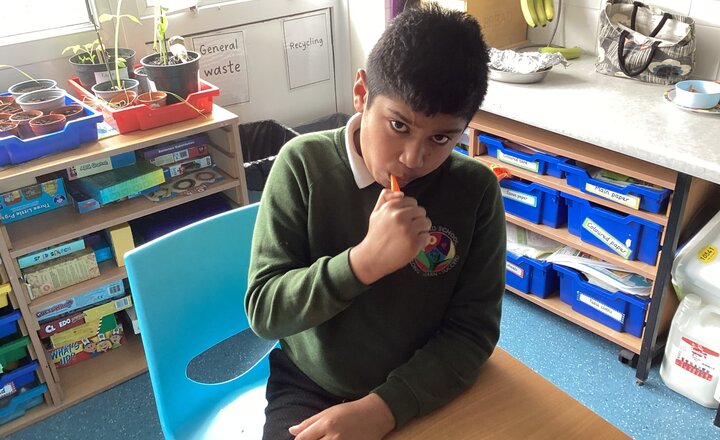 Image of Avebury Class Term 6 Week 3 Update