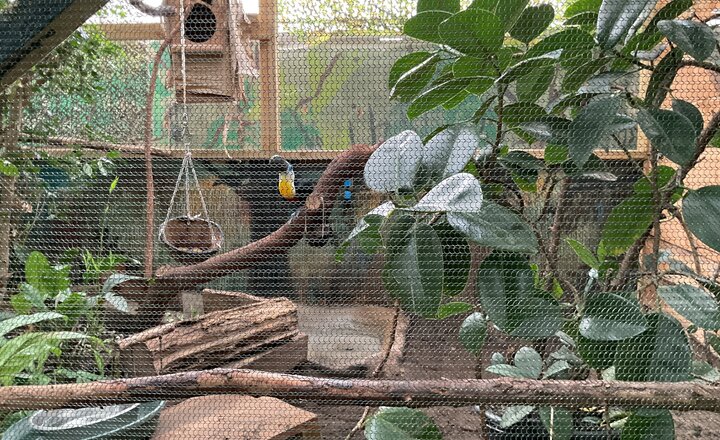 Image of Westbury Class Update