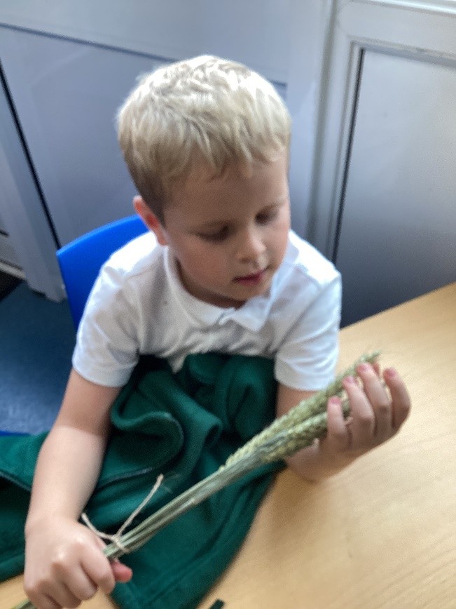 Image of Savernake Class Update