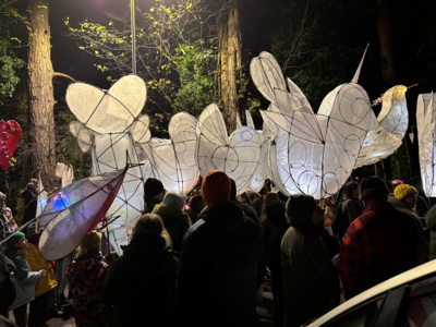 Image of Frome Lantern Parade