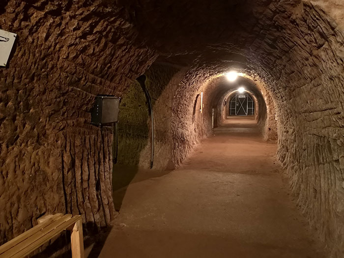 Image of Year 6 trip to Stockport Air Raid Shelters