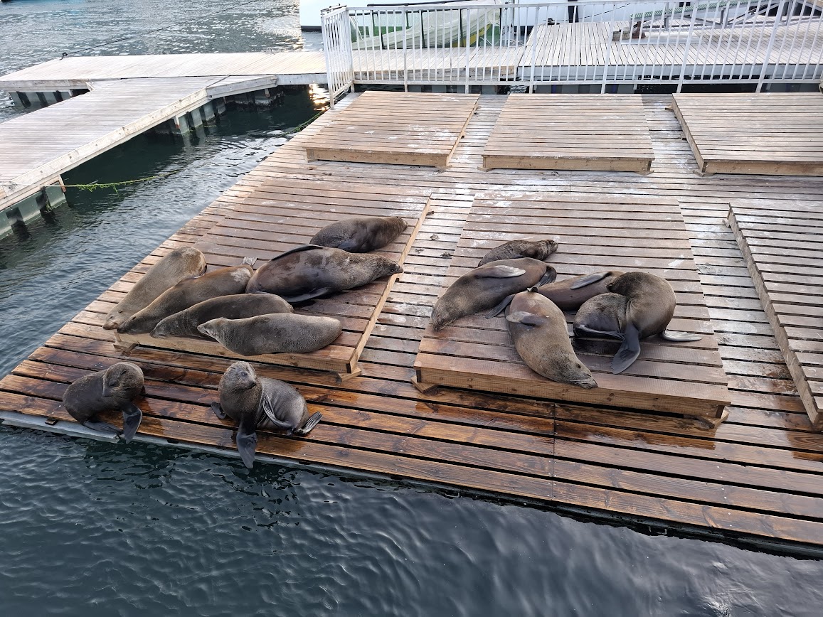 Image of  V&A Waterfront