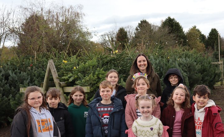 Image of Pupils Pick the Perfect Christmas Trees on Festive Visits to Local Farms