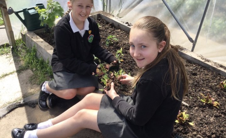 Image of Promoting wellbeing and calm for our Year 6 SATs 