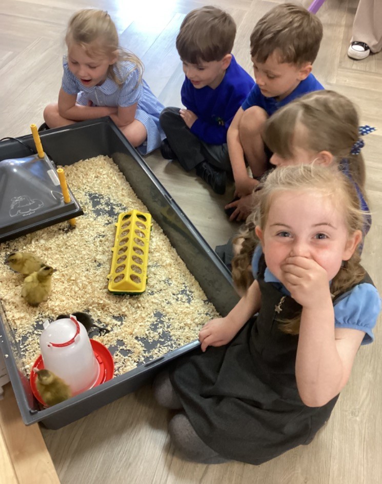 Image of Exciting start to the Summer Term 