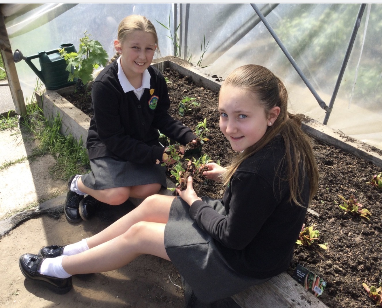 Image of Promoting wellbeing and calm for our Year 6 SATs 