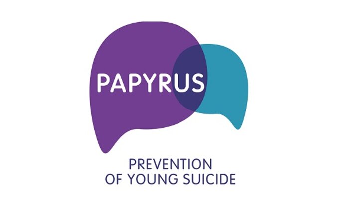 Image of Pastoral and Safeguarding Staff Attend PAPYRUS Training 