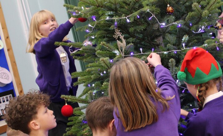 Image of Trust Schools embrace the Festive Season! 