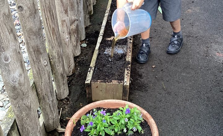 Image of Happy New Year