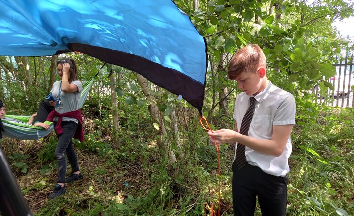 Image of Making Bug Hotels, Shelter and Hammocks