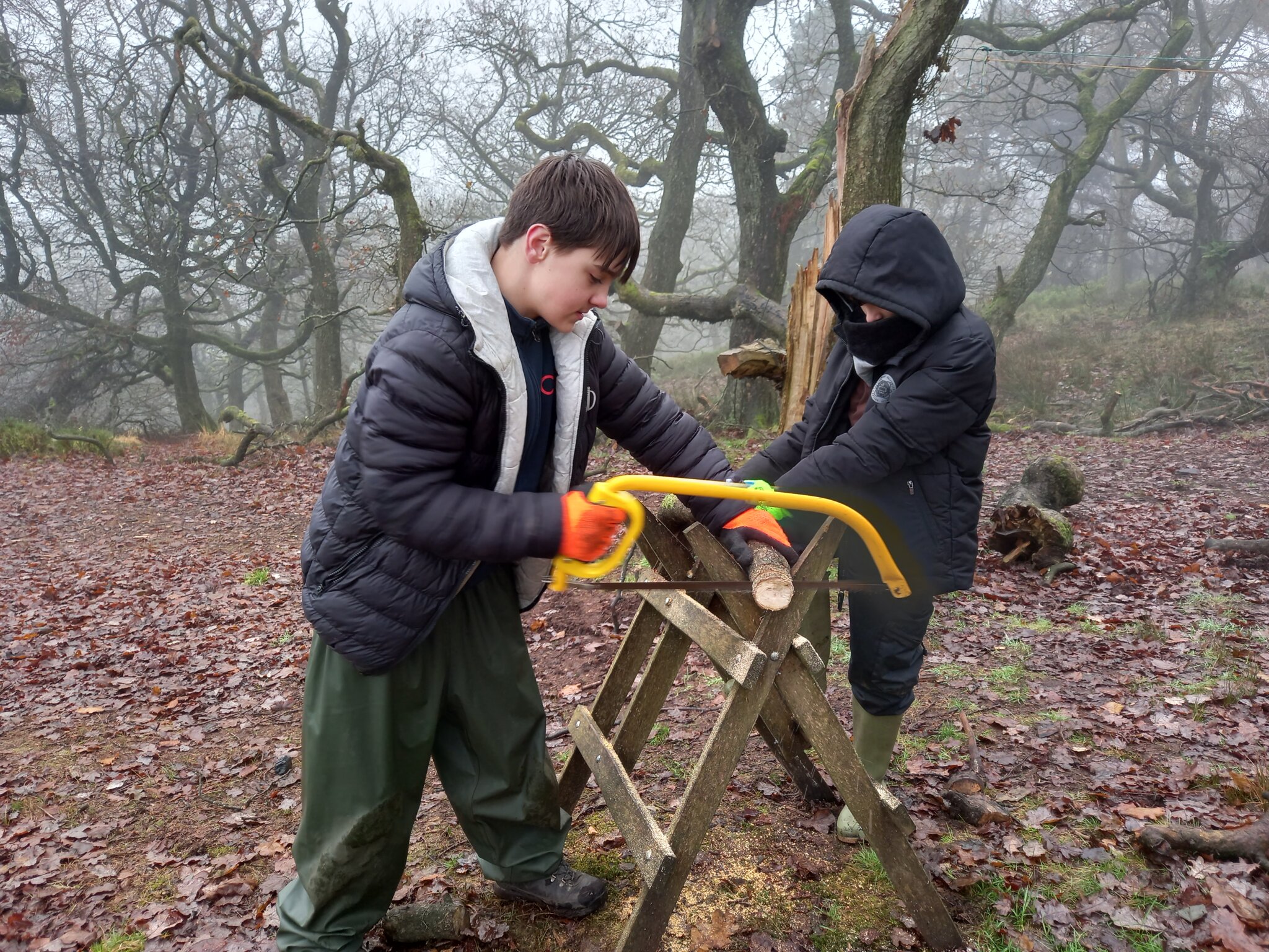 Image of Making Christmas Decorations