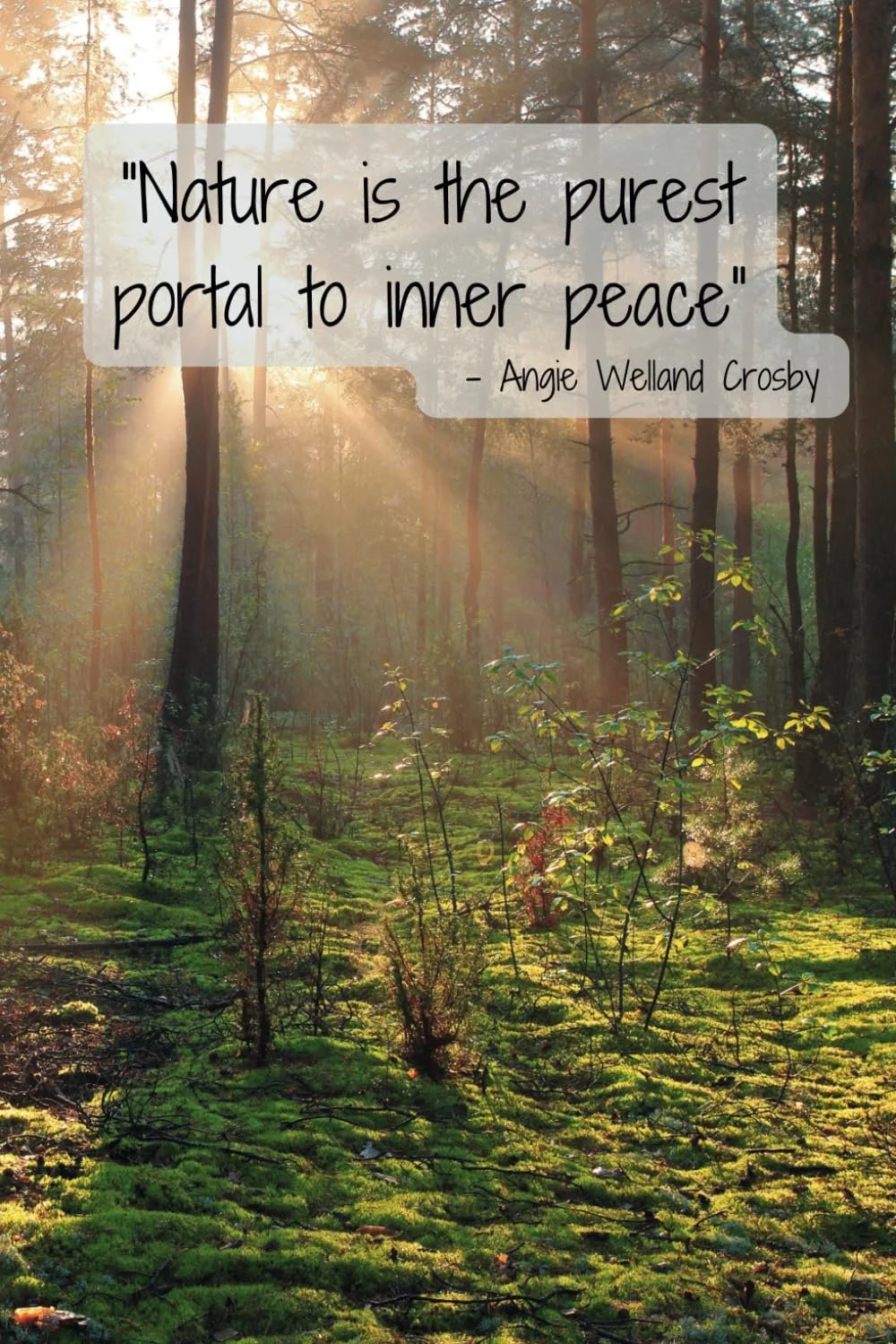Image of 'Nature is the purest portal to inner peace.' - Angie Weiland Crosby